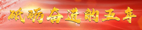 �c���鿴���}