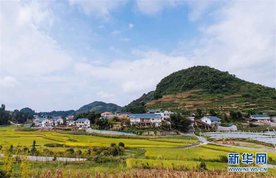 (���Aȫý�^�l��ʮ�Ŵ��؄e��(b��o)�����D�Ļ���)(2)����ȫ�w�������������׷�󡪡����h��ʮ�Ŵ��hʼ�K����Ċ^��Ŀ��(bi��o)