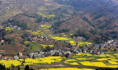 ���l(xi��ng)�����d��(zh��n)������Óؚ����(ji��n)֮��