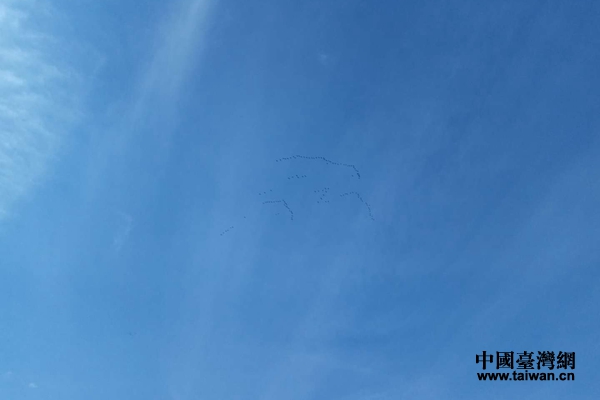 һȺ�����ųɡ��ˡ����Ρ��������ˡ����нM�ɡ��������ڼo(j��)���^�Ͽ��w�^��