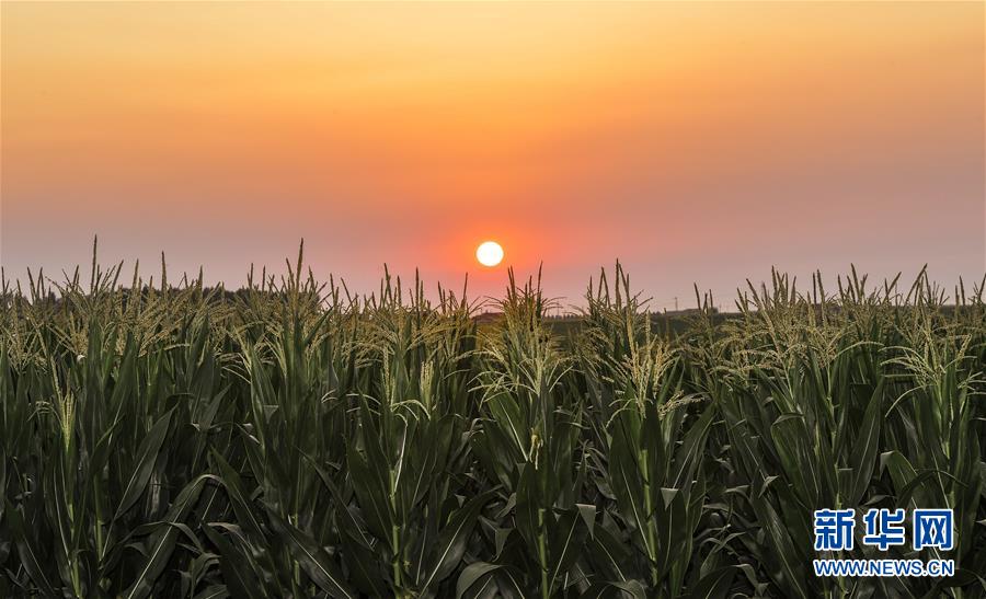 �����Aȫý�^�l���D�Ļ���(d��ng)����2����F(xi��n)���r(n��ng)�I(y��)̽��·�������Լ���������Ұ��(b��o)��