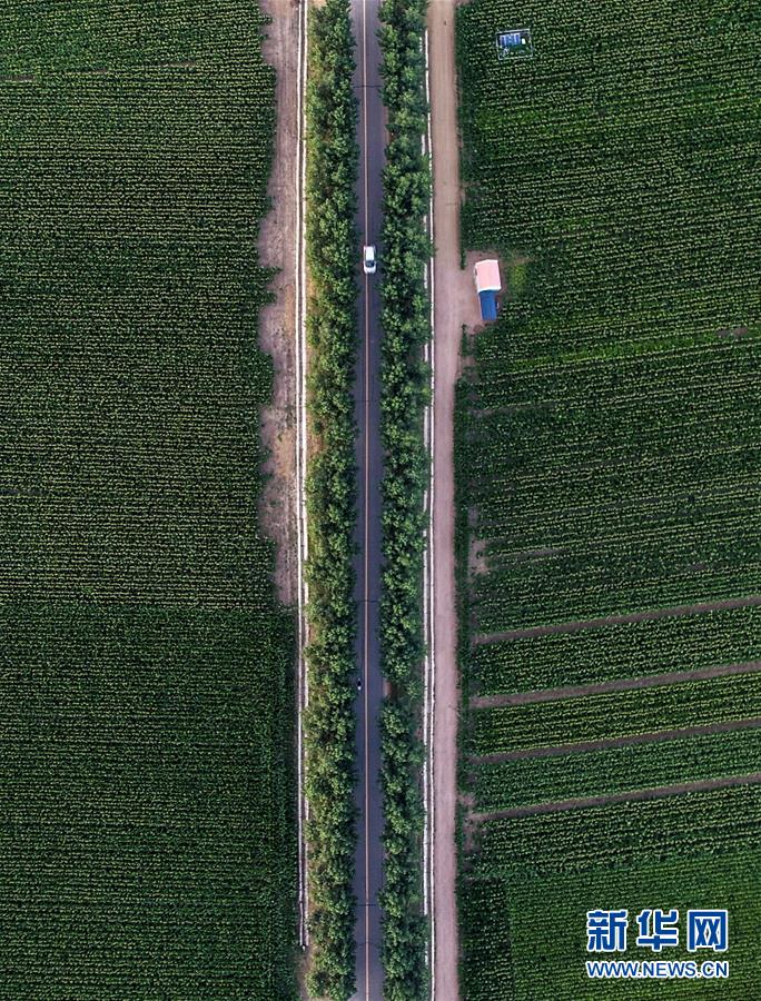 �����Aȫý�^�l���D�Ļ���(d��ng)����3����F(xi��n)���r(n��ng)�I(y��)̽��·�������Լ���������Ұ��(b��o)��