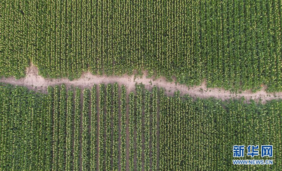 �����Aȫý�^�l���D�Ļ���(d��ng)����4����F(xi��n)���r(n��ng)�I(y��)̽��·�������Լ���������Ұ��(b��o)��