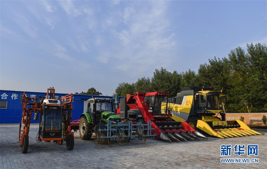 �����Aȫý�^�l���D�Ļ���(d��ng)����5����F(xi��n)���r(n��ng)�I(y��)̽��·�������Լ���������Ұ��(b��o)��