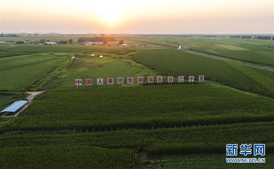 �����Aȫý�^�l���D�Ļ���(d��ng)����6����F(xi��n)���r(n��ng)�I(y��)̽��·�������Լ���������Ұ��(b��o)��