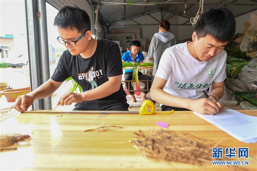 �����Aȫý�^�l���D�Ļ���(d��ng)����8����F(xi��n)���r(n��ng)�I(y��)̽��·�������Լ���������Ұ��(b��o)��