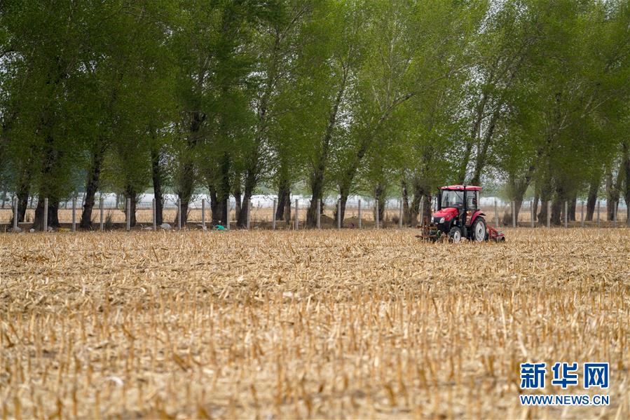 �����Aȫý�^�l���D�Ļ���(d��ng)����9����F(xi��n)���r(n��ng)�I(y��)̽��·�������Լ���������Ұ��(b��o)��