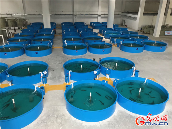 ����(qi��ng)��(gu��)�Ј�(ji��n) ���|(zh��)���l(f��)չ����(gu��)�󡿰l(f��)��������������������в���(gu��)���D(zhu��n)�Ͱl(f��)չ�M(j��n)�Еr(sh��)