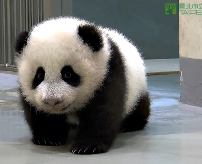 �A�Є��������Õr������