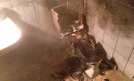 蟑螂先打死再燒毀,尸體丟進馬桶瞬間爆炸 蟑螂先打死再燒毀,尸體丟進馬桶瞬間爆炸