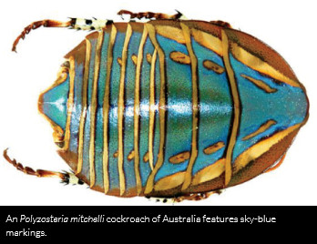 "�������"�����{(l��n)��ʯ