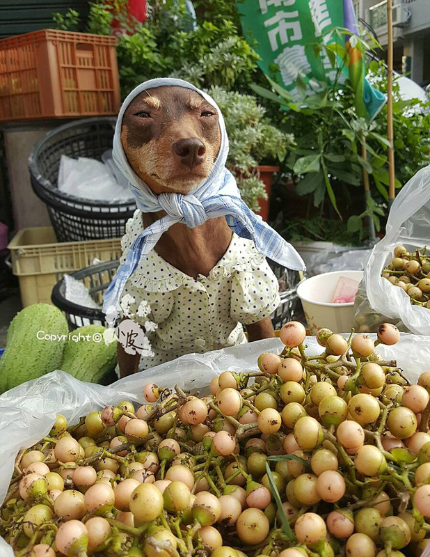 �_����Ȯ����ˮ���߲ˎ����˔�����