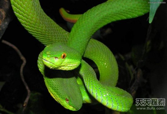 �Ї�(gu��)ʮ�������а�