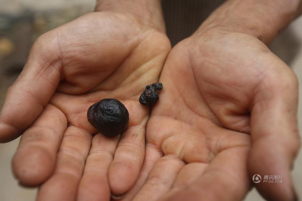 ���(y��ng)һĸ�u���겻�µ� �u����ȡ������ؐ����