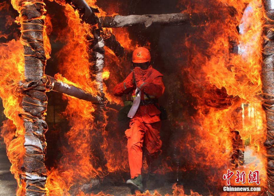 ���Cɭ������Ӗ����Խ����