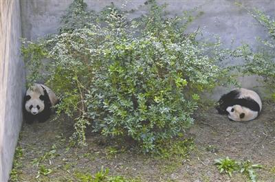 ���գ�����݆�����󣩺͡����J������؈�z�߈� �zӰ