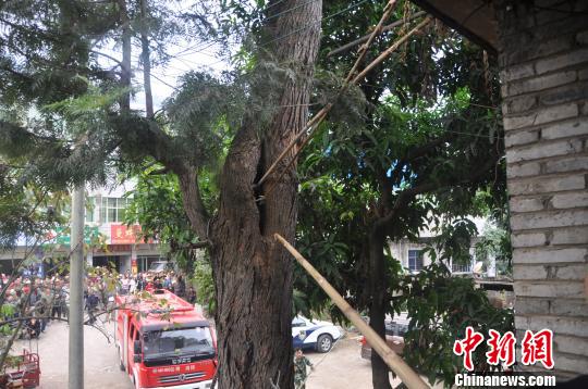 ���R���ߡ�ʧ�㡱����䶴�ྯ�N�ӡ��ơ��߽���n