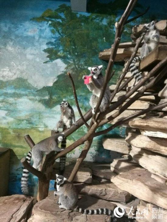 ������ܡ��t�����е���ζʳ����� �z