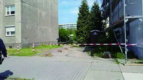 �l�F����ʬ�w�Ĺ�ľ����