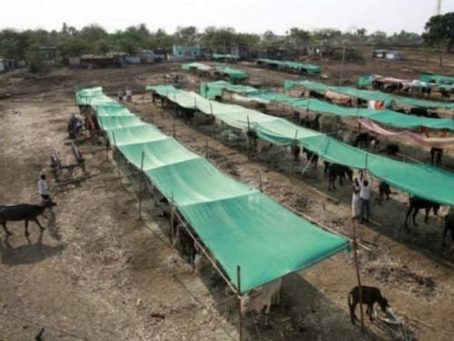 �˲���ţ��ӡ��ȱˮ�y����ţ��ӑ����