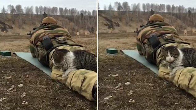 ��؈��F�����Ӗ������ 悶��������l�hՓ