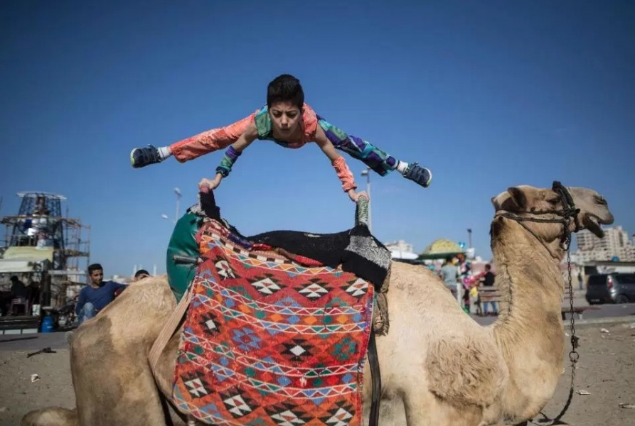 ܛ���lָ!12�q����ȫ��365�ȟo�������D