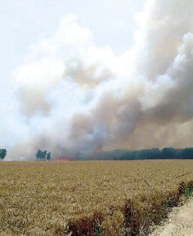 �����ߌӴ��ϵ�{��,���h���