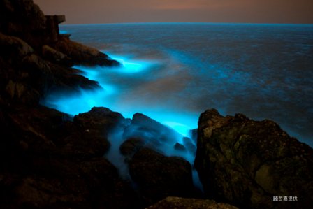 �_�Õ������R������ÿ�˿ɫ@2000Ԫ���_���a��