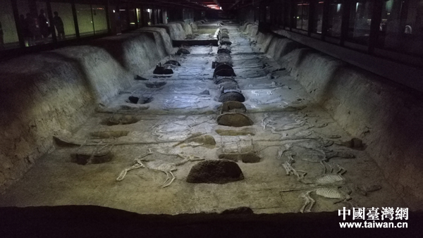 鏡頭中的湖北荊州:奢華車馬陣、滄桑古城墻 鏡頭中的湖北荊州:奢華車馬陣、滄桑古城墻