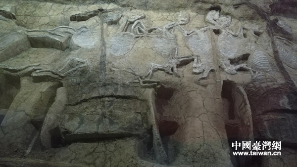 鏡頭中的湖北荊州:奢華車馬陣、滄桑古城墻 鏡頭中的湖北荊州:奢華車馬陣、滄桑古城墻