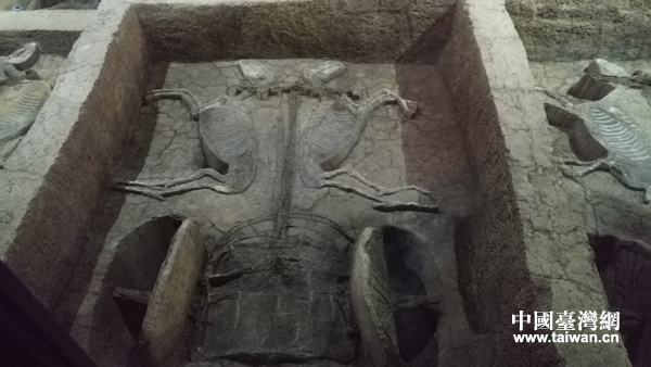 鏡頭中的湖北荊州:奢華車馬陣、滄桑古城墻 鏡頭中的湖北荊州:奢華車馬陣、滄桑古城墻