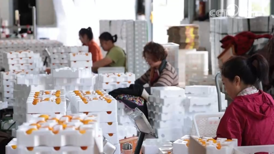 “十四五”期間我國農產品出口提質擴容 “十四五”期間我國農產品出口提質擴容