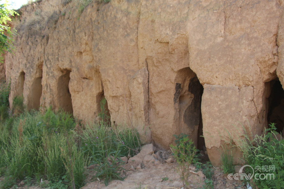 ɽ��4000�׵ص��zַ�جF���ꡰ�ص���